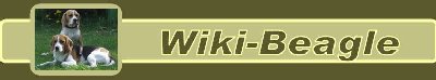 logo Wiki_link